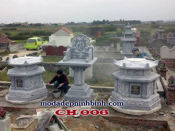 Cây hương đá 006