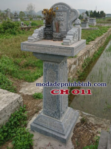 Cây hương đá 011