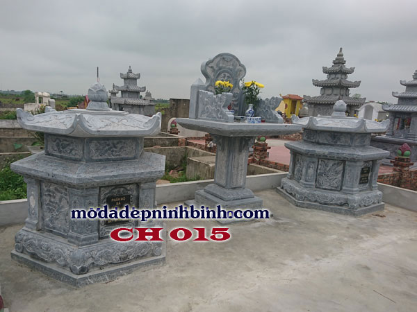 Cây hương đá 015