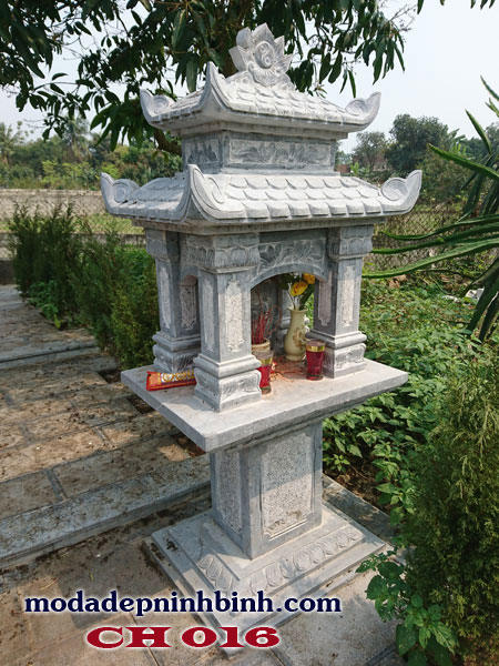 Cây hương đá 016