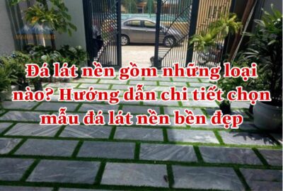 hình ảnh bài viết
