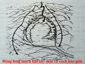 hình ảnh bài viết
