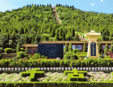 hình ảnh bài viết