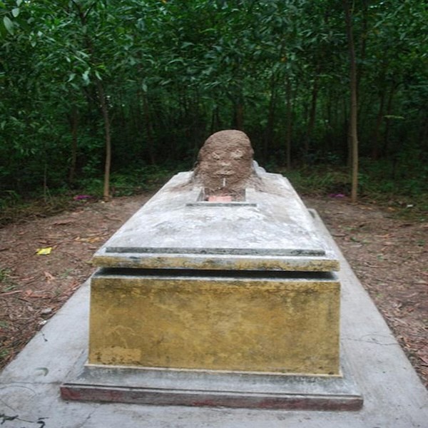 Tổ mối trên mộ tốt hay xấu? Theo tâm linh, đây là điềm báo tốt