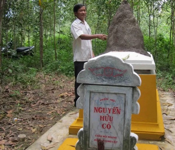 Tổ mối trên mộ tốt hay xấu tùy theo nhiều góc độ khác nhau như khoa học, phong thủy và tâm linh