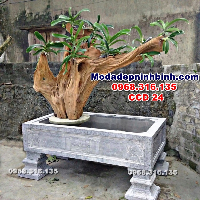 mẫu-chậu-cây-cảnh-đá-nguyên-khối-ninh-bình-hà-nội-hải-phòng-ccd-24